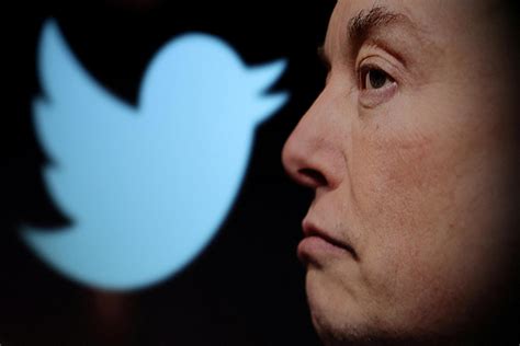 Confusion on Elon Musk’s Twitter as blue checks purged